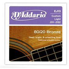 D'Addario EJ13