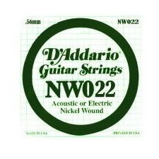 D'Addario NW022