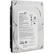 Seagate ST31000340NS