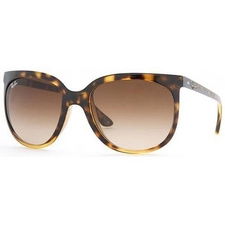 Ray Ban 4126 Cats 1000 710/51 (size 57mm) : Light tortoise