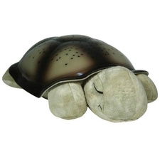 Twilight Turtle