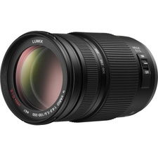 Panasonic Lumix G Vario 100-300mm f/4.0-5.6 Mega O.I.S.
