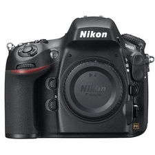 Nikon D800 body