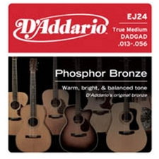D'Addario EJ24