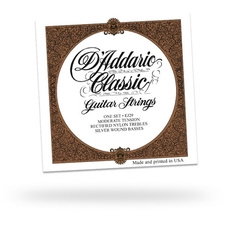 D'Addario EJ29