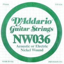D'Addario NW036