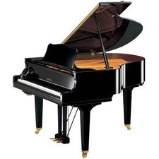 Yamaha GC-1 Stutzfl?gel