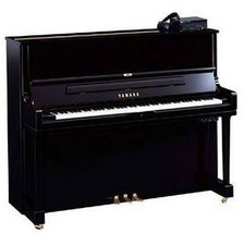 Yamaha DYUS1