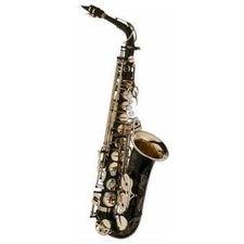 Selmer SE-A2B