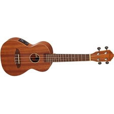 Ortega RFU11SE