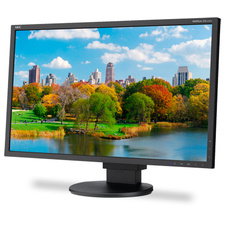 NEC EA223WM