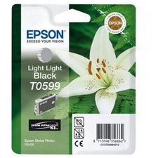 Epson T0599