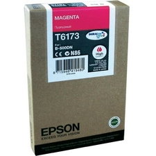 Epson T6173