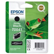 Epson T0541