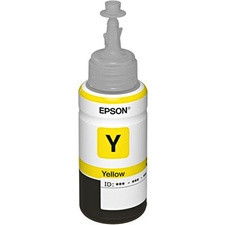 Epson T673420