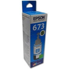 Epson T673220