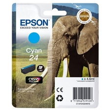 Epson C13T24224010