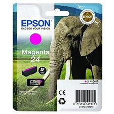 Epson C13T24234010