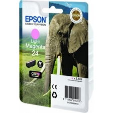 Epson C13T24264010