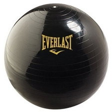 Everlast EV3584NV