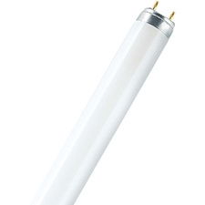 Osram L 36 W/865