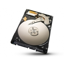 Seagate ST500LT012