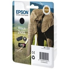 Epson C13T24314010