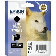 Epson T0961