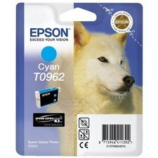 Epson T0962