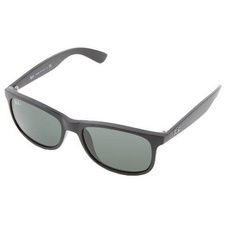 Ray-Ban RB4202