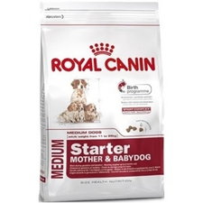 Royal Canin Medium Starter 12Kg