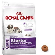 Royal Canin Giant Starter 4Kg