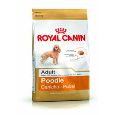 Royal Canin Poodle Adult 500g