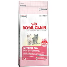 Royal Canin Kitten 36 10Kg