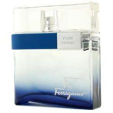 Salvatore Ferragamo / F Free Time - Eau de Toilette 100 ml