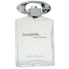 Salvatore Ferragamo / Incanto - Eau de Toilette 100 ml