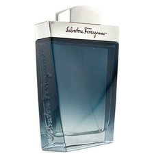 Salvatore Ferragamo / Subtil - Eau de Toilette 100 ml