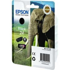 Epson T2421