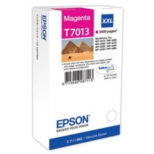 Epson T7013
