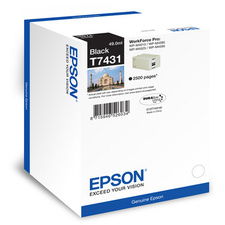 Epson T7431