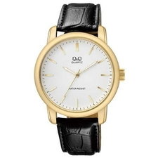 Q&Q Q868J101Y