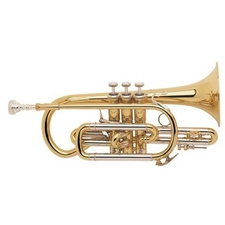 Bach 184 G Cornet