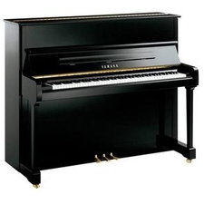 Yamaha P 121 M PE