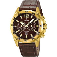 Festina F16880/2
