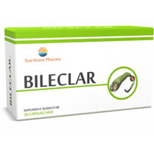 Bileclar - Sun Wave