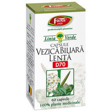 Vezica Biliara Lenta - Fares