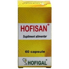 Hofisan - Hofigal