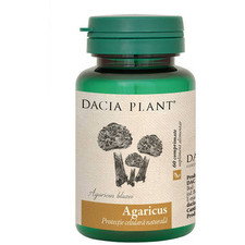 Agaricus - Dacia Plant