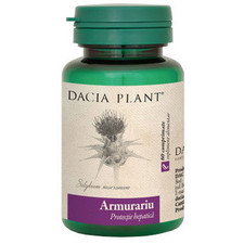 Armurariu - Dacia Plant