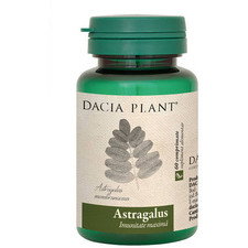 Astragalus - Dacia Plant